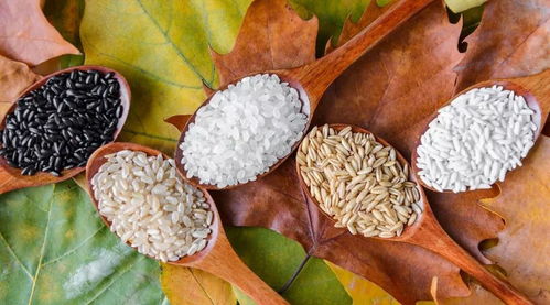 燕麦制品大排名 谁是降胆固醇的谷物一把手？